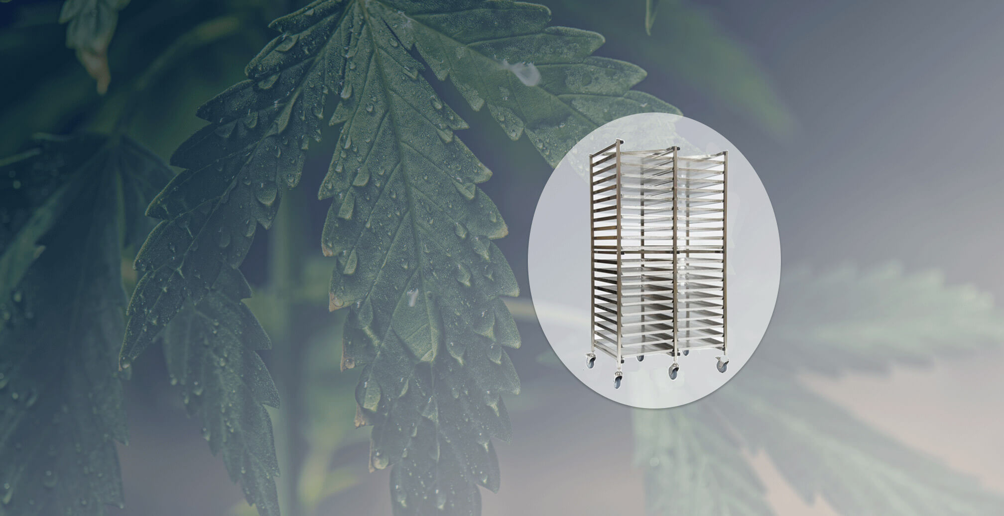 Drying Racks
