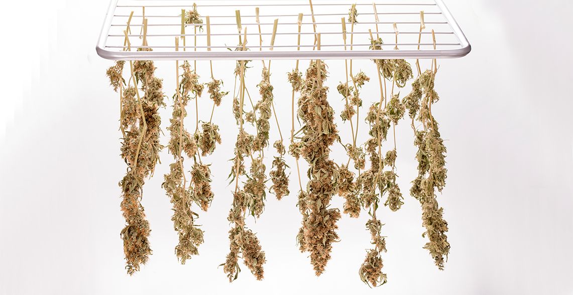 drying racks in Canada