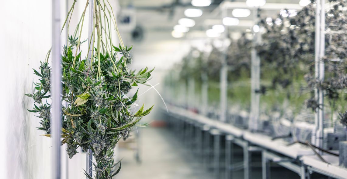 hanging racks