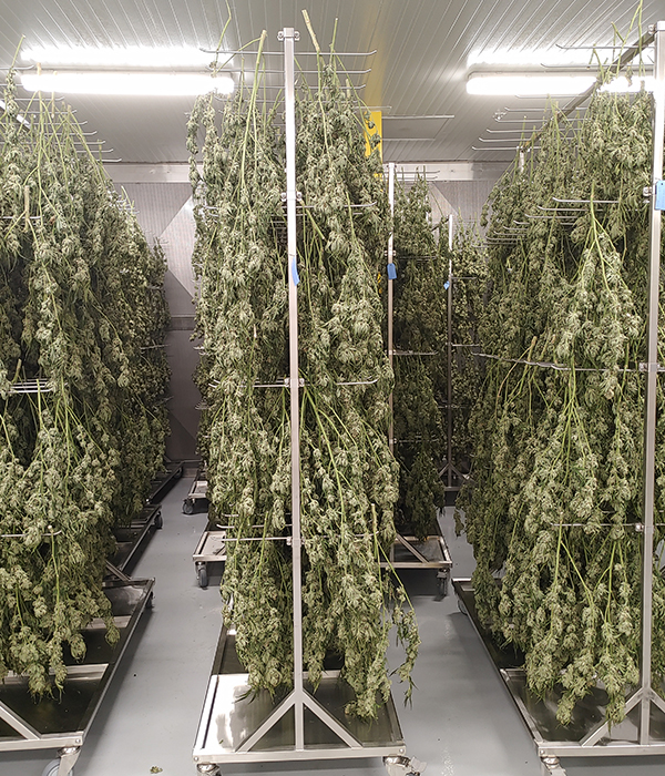 Hanging Racks