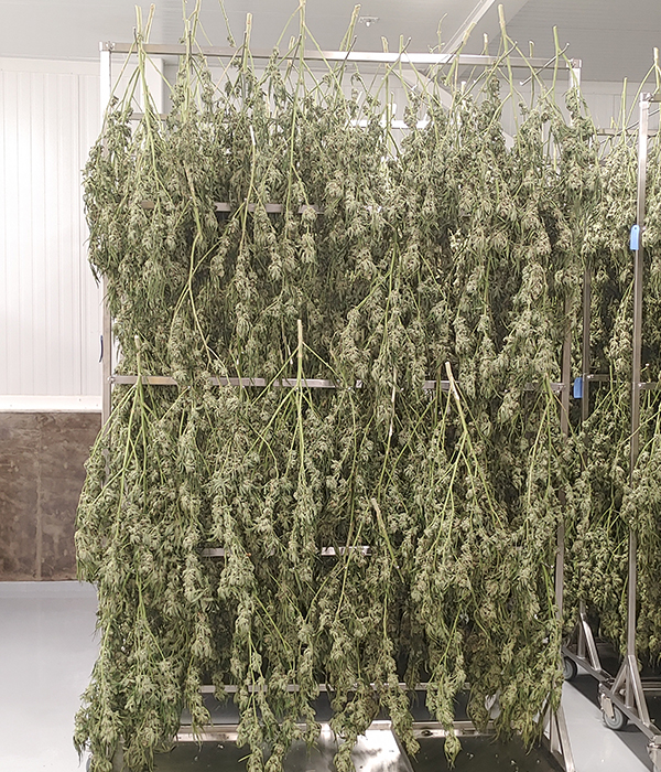 Hanging Racks