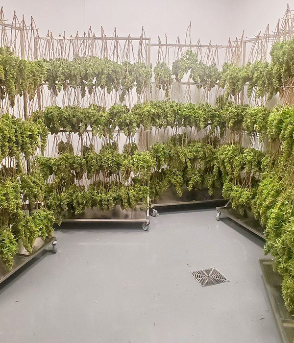 Hanging Racks